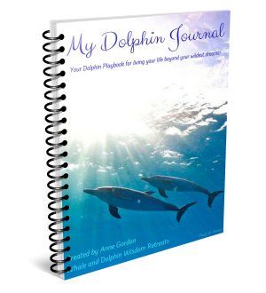 Dolphin Journal 3D book
