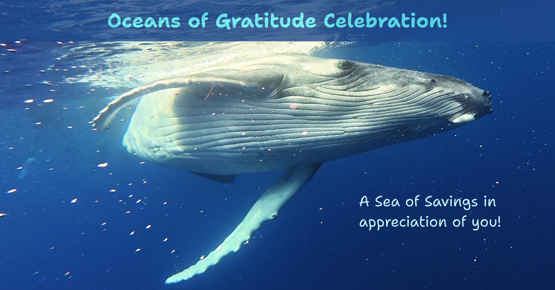 Gratitude Sale 2025