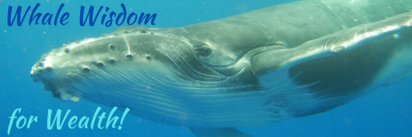 Whale Wisdom for Wealth (Email Header)