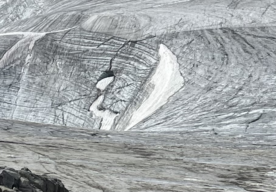 Christine's glacier dolphin