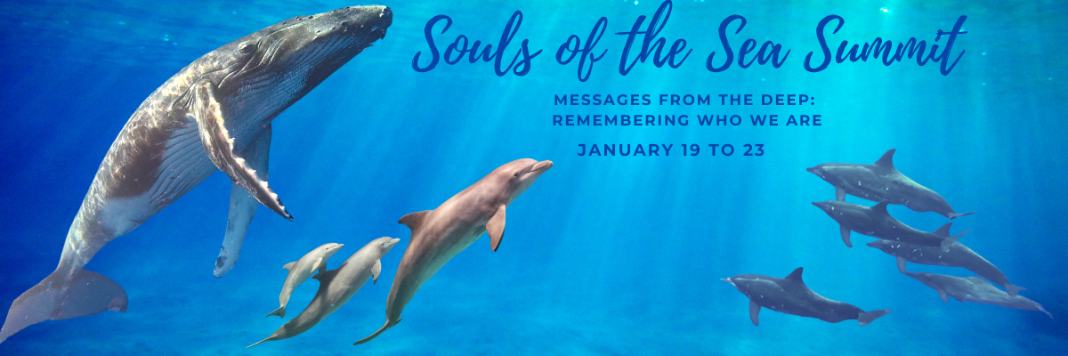 Souls of the Sea Summit 2026 Email Header