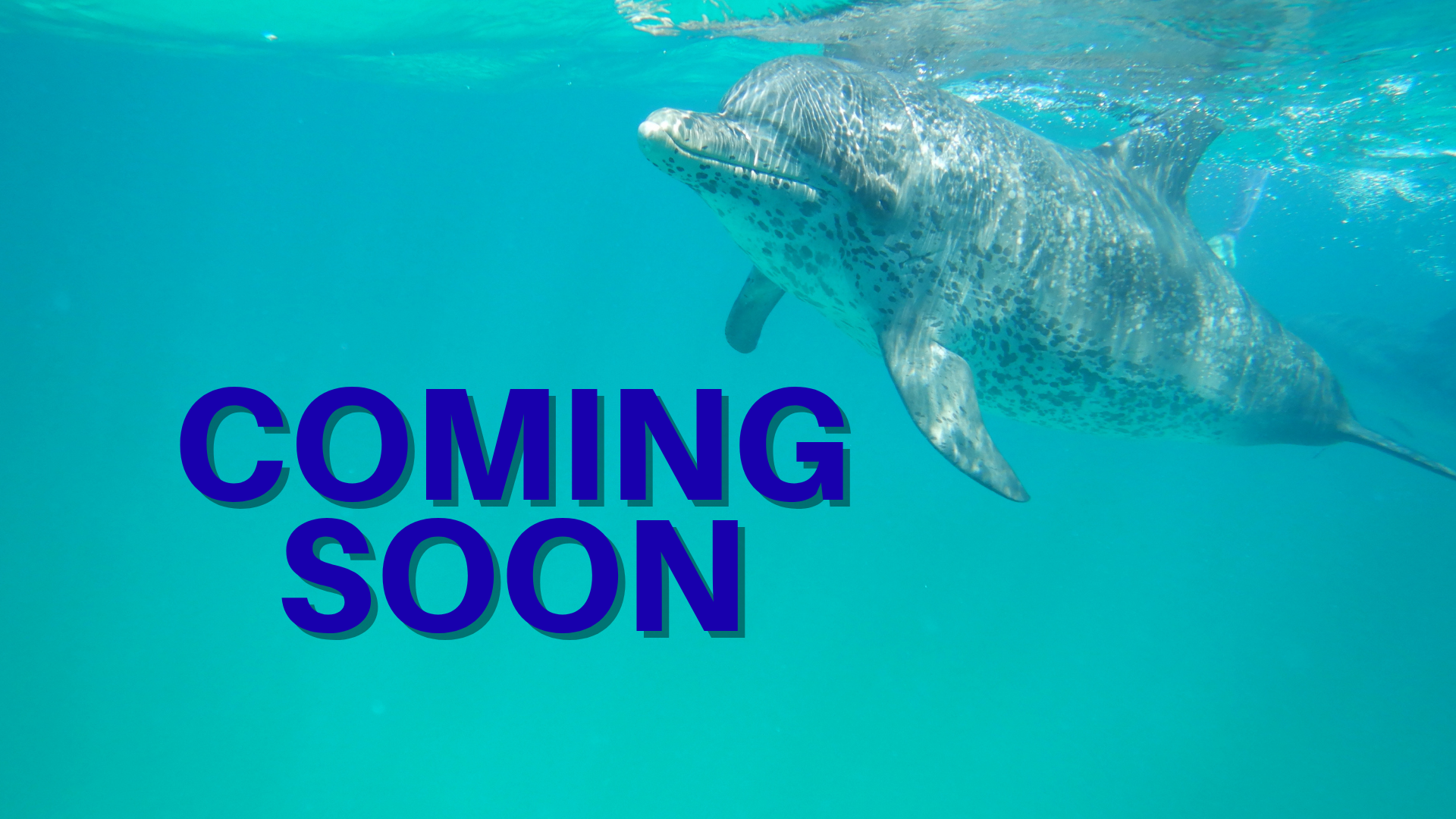 Coming Soon