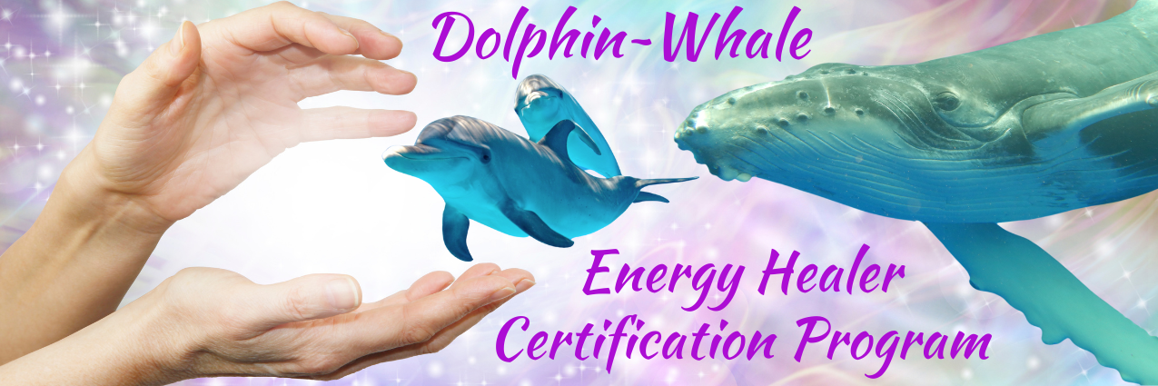 Dolphin_Whale Energy Healing Banner (1)